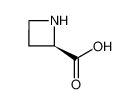 D-吖啶-2-羧酸