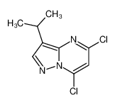 5，7-二氯-3-异丙基吡唑并[1，5-a]嘧啶