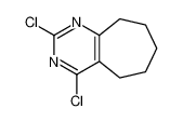 2，4-二氯-6，7，8，9-四氢-5H-环庚基[d]嘧啶