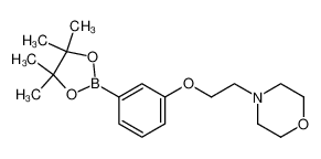 3-(2-吗啉乙氧基)苯硼酸频那醇酯