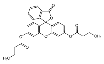 荧光素二丁酸酯