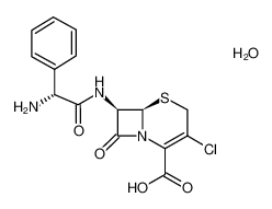 头孢克洛 一水合物