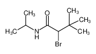 N1-异丙基-2-溴-3,3-二甲基丁胺