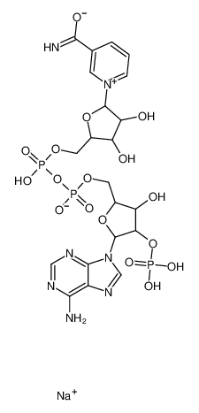 三磷酸吡啶核苷酸 钠盐 水合物