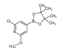 2-氯-6-甲氧基吡啶-4-硼酸频那醇酯