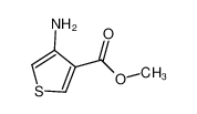 4-氨基噻吩-3-羧酸甲酯