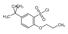 5-(叔丁基)-2-丙氧基苯-1-磺酰氯