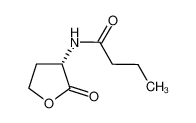 N-丁酰基-L-高丝氨酸内酯
