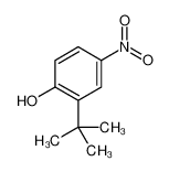2-叔丁基-4-硝基苯酚
