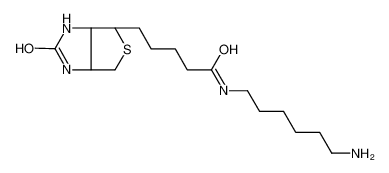 N-生物素基-1，6-己二胺