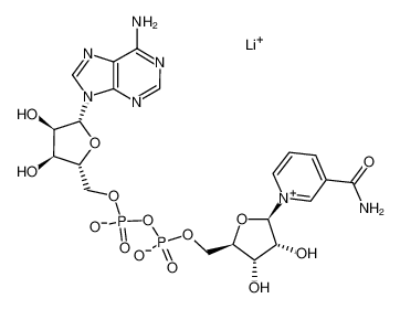 Β-菸鹼醯胺腺嘌呤二核苷酸