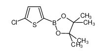 5-氯噻吩-2-硼酸频哪醇酯