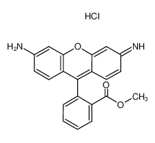 罗丹明123