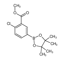 2-氯-5-(4,4,5,5-四甲基-1,3,2-二氧硼杂环戊烷-2-基)苯甲酸甲酯