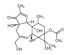 12-脱氧佛波醇-13-乙酸