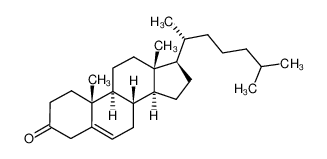 胆甾酮
