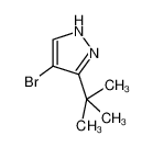 4-溴-3-叔丁基-1H-吡唑