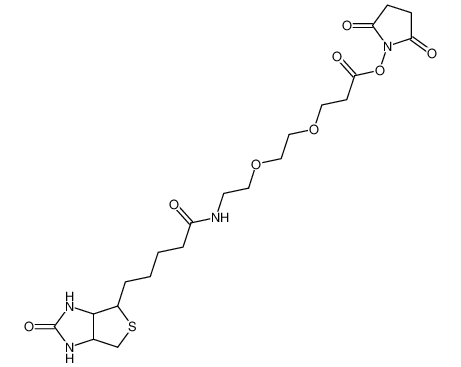9-(生物素氨基)-4,7-二氧杂壬酸N-琥珀酰亚胺酯
