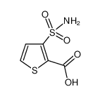 3-(氨基磺酰基)噻吩-2-羧酸