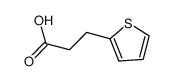 3-(2-噻吩)丙酸
