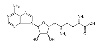 Sinefungin