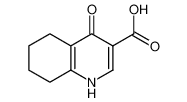 4-氧代-1,4,5,6,7,8-六氢-喹啉-3-羧酸