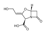 克拉维酸