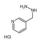 3-(肼基甲基)吡啶盐酸盐