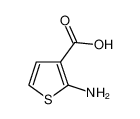 2-氨基噻吩-3-甲酸