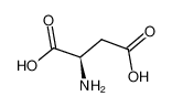 L-天门冬氨酸