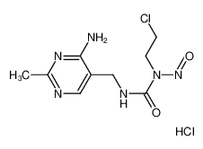 ACNU