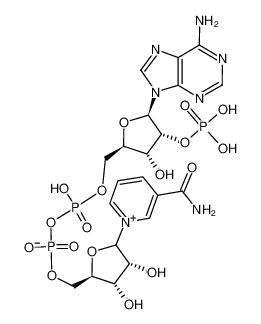 烟酸腺嘌呤二核苷酸磷酸 钠盐