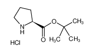 L-脯氨酸特丁酯盐酸盐