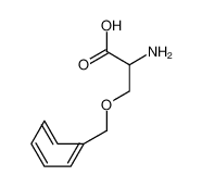 o-苄基-dl-丝氨酸