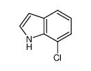 7-氯吲哚