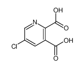 5-氯-吡啶-2，3-二羧酸