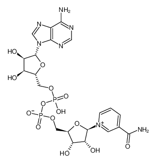 β-烟酰胺腺嘌呤二核苷酸