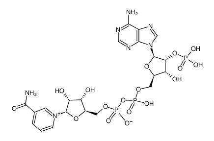 β-烟酰胺腺嘌呤二核苷酸磷酸(NADP)