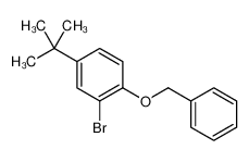1-(苄氧基)-2-溴-4-叔丁基苯