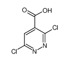 3,6-二氯哒嗪-4-甲酸