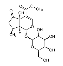 戟叶马鞭草苷