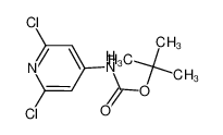 N-Boc-4-氨基-2，6-二氯吡啶