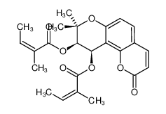 白芷灵