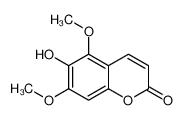 白蜡树精