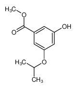 3-羟基-5-异丙氧基苯甲酸甲酯