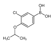 3-氯-4-异丙氧基苯基硼酸