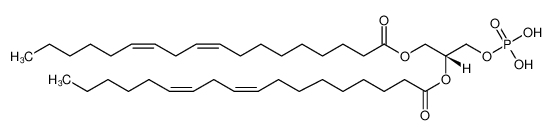 L-α-phosphatidic acid (Soy) (sodium salt)