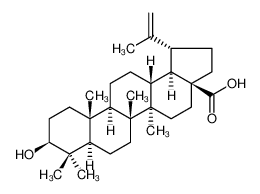 白桦脂酸
