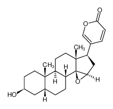 布福吉宁