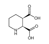哌啶-2，3-二羧酸